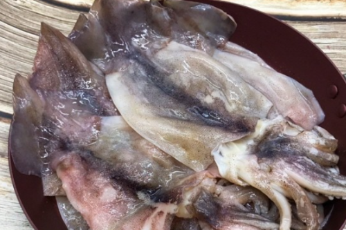 동포창고 - 국내산 파지 손질오징어 1kg/ 오징어 번거로운 손질 이제 그만~