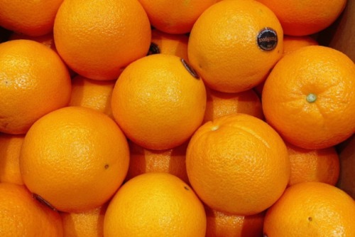 [당일생물] 단독[책임황석민] - 블랙라벨 오렌지 10과 중과/ 프리미엄라인으로 취급되는 오렌지